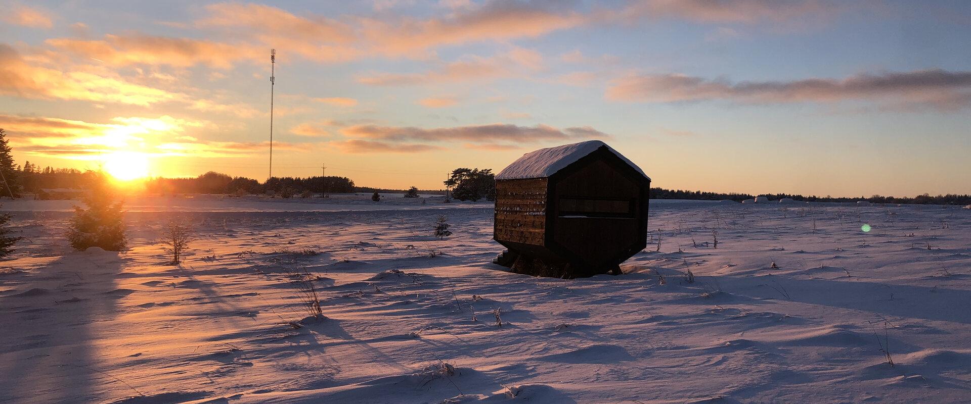 Voose Päikesekodu, Wabenhäuserdorf