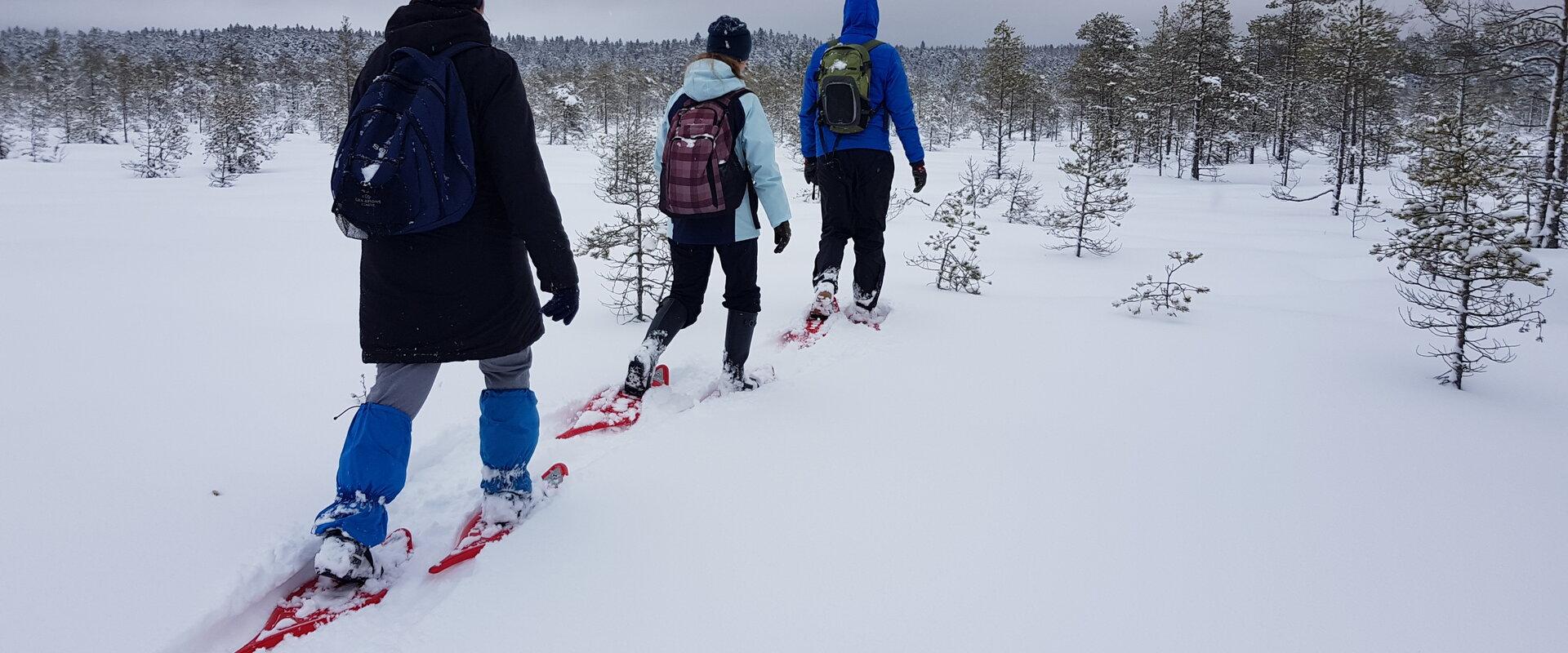 Alutaguse Matkaklubi räätsamatk Hiiesoos