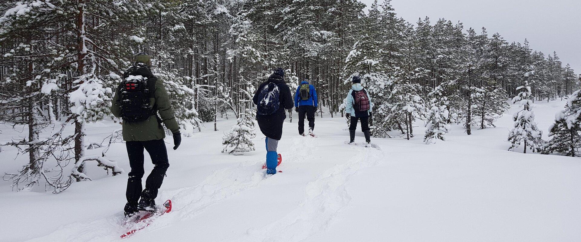 Alutaguse Matkaklubi räätsamatk Hiiesoos