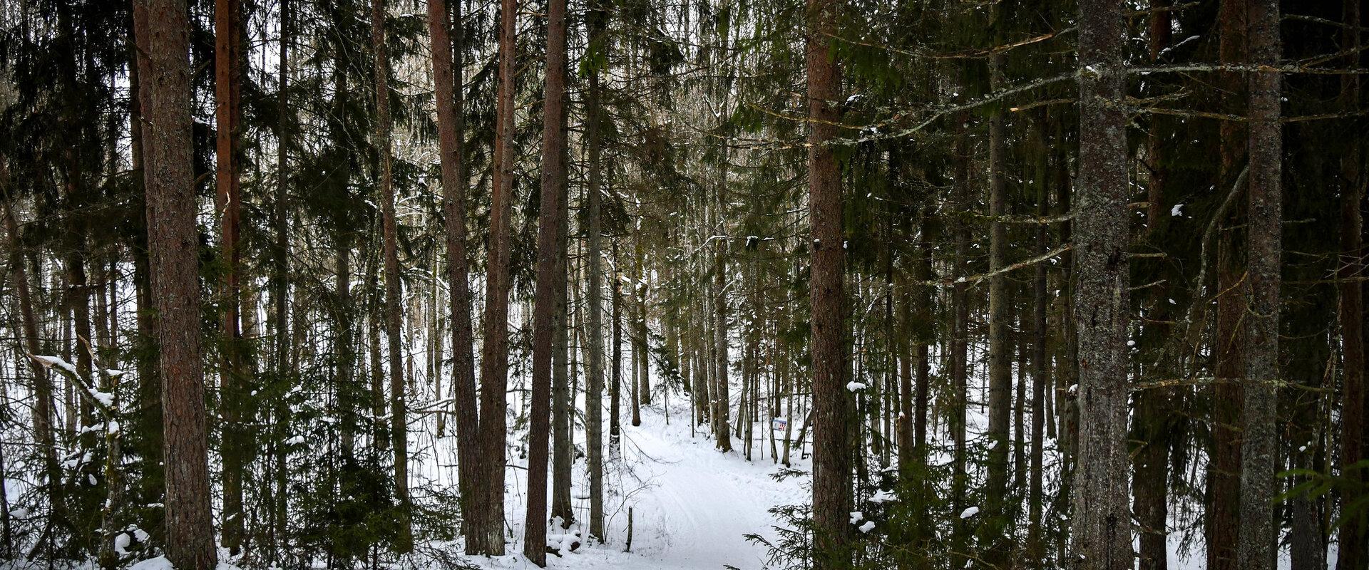 Tõstamaa Wellnesspfad