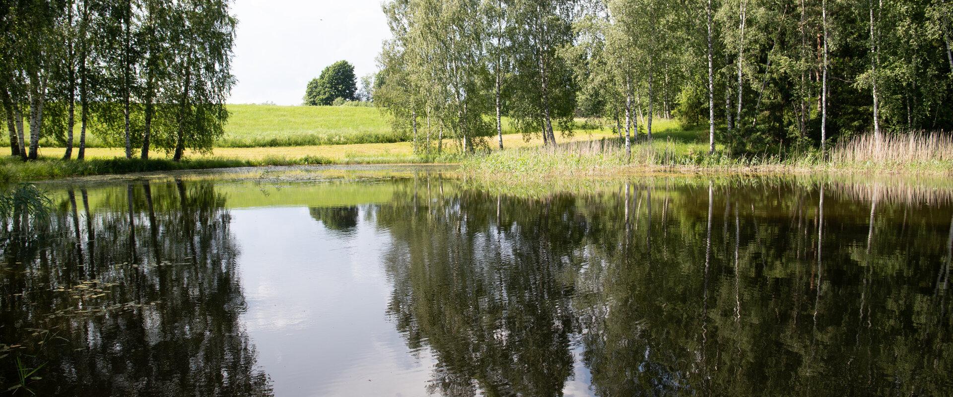 Metsatu Valge Elevandi puhkemaja