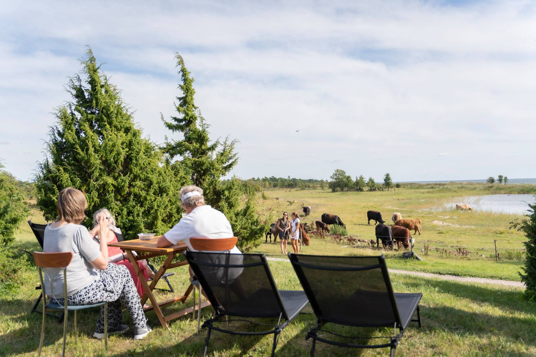 Kodukohvikute päevad Hiiumaal