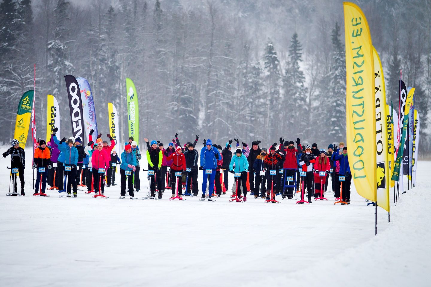 Pühajärve matkamaraton tõukekelkudel