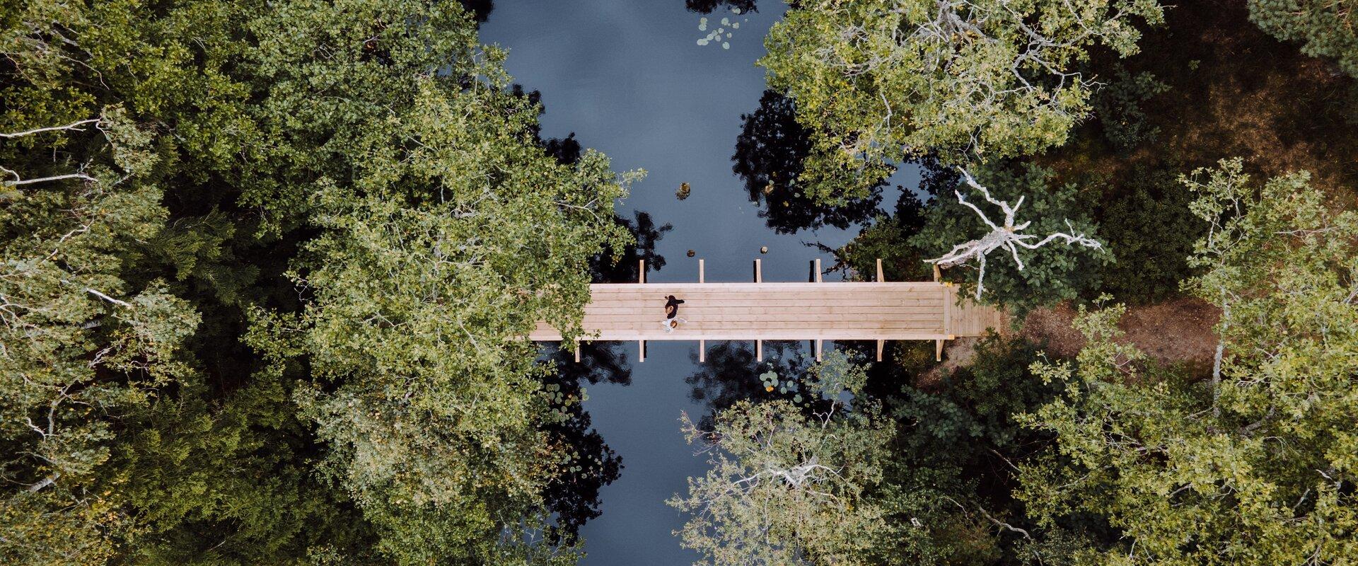 The Nõva Recreation Area and Nature Reserve on the lowland of West-Estonia was established to protect the coastal landscapes and plant communities. It