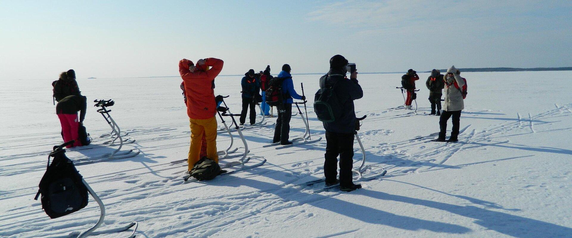 Kicksled trips