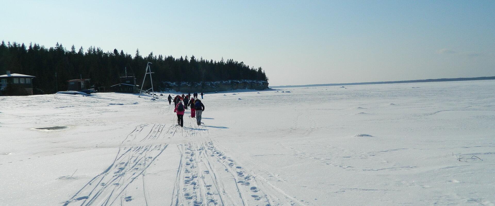 Kicksled trips