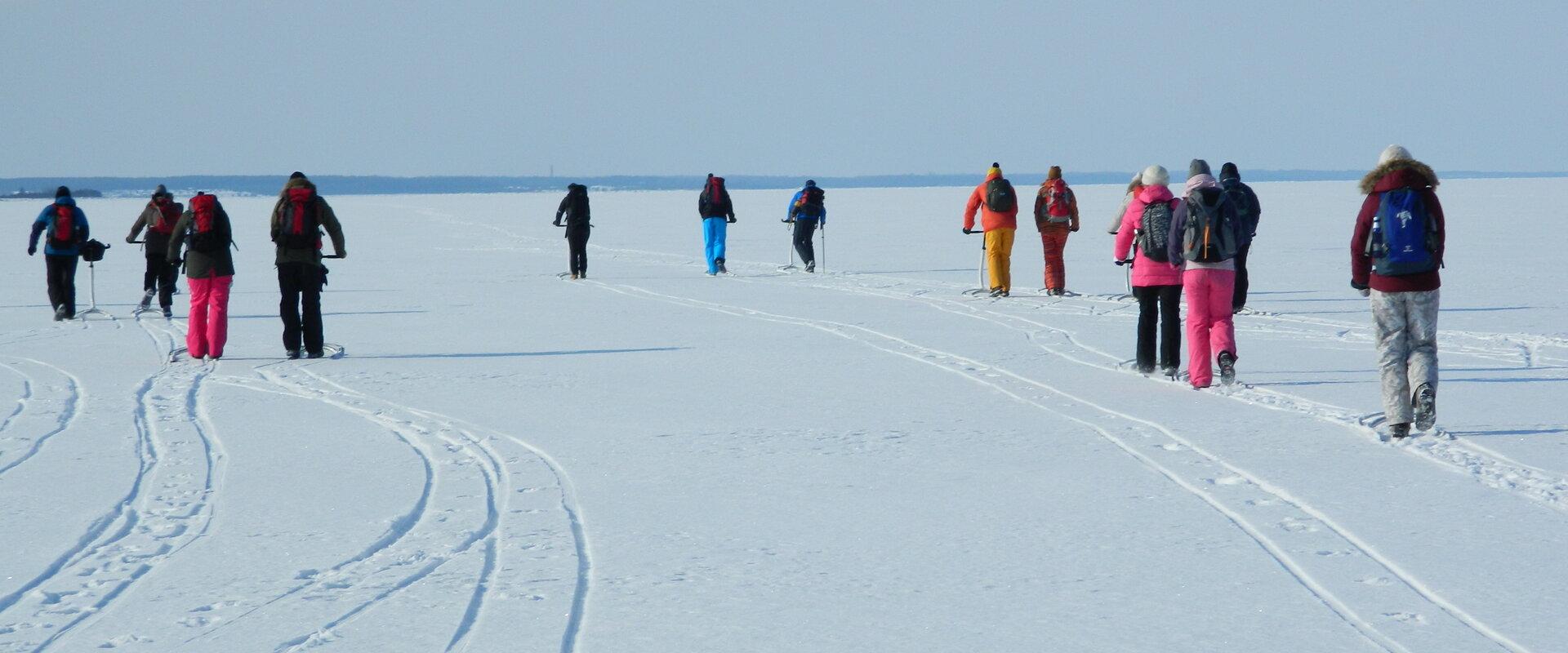 Kicksled trips