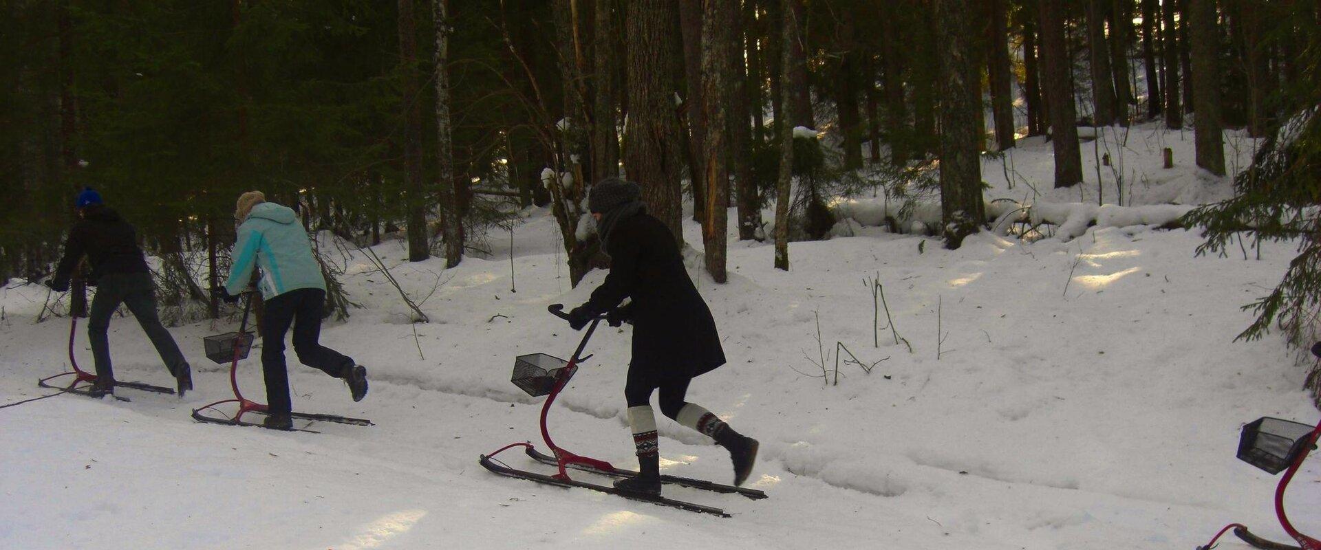 Potkukelkkaretket Pohjois-Kõrvemaalla