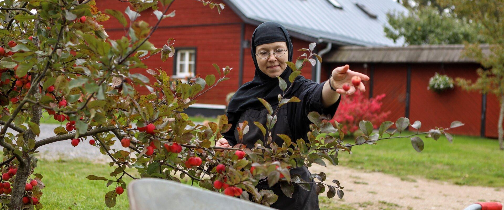 Püha Eelkäija Skiita Reomäel