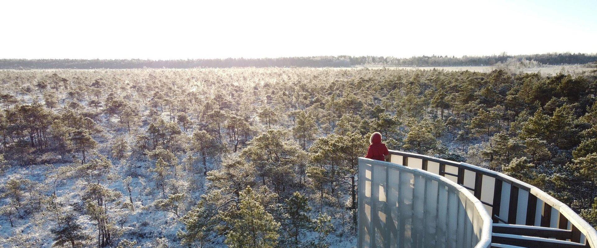 Tuhu Bog and Hiking Trail