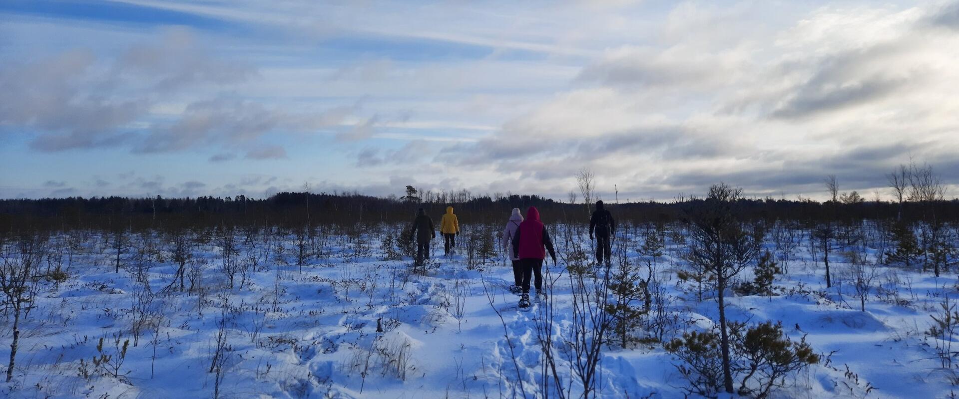 "Nature Tours Estonia" ziemas pārgājiens ar sniega kurpēm pa Emajegi-Sūrso ziemas ceļiem