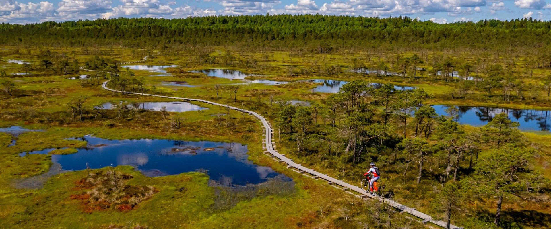 This bog is one of the largest bogs in Kõrvemaa: about 1,000 hectares. The picturesque high bog with many bog pools is made unique thanks to the fact 
