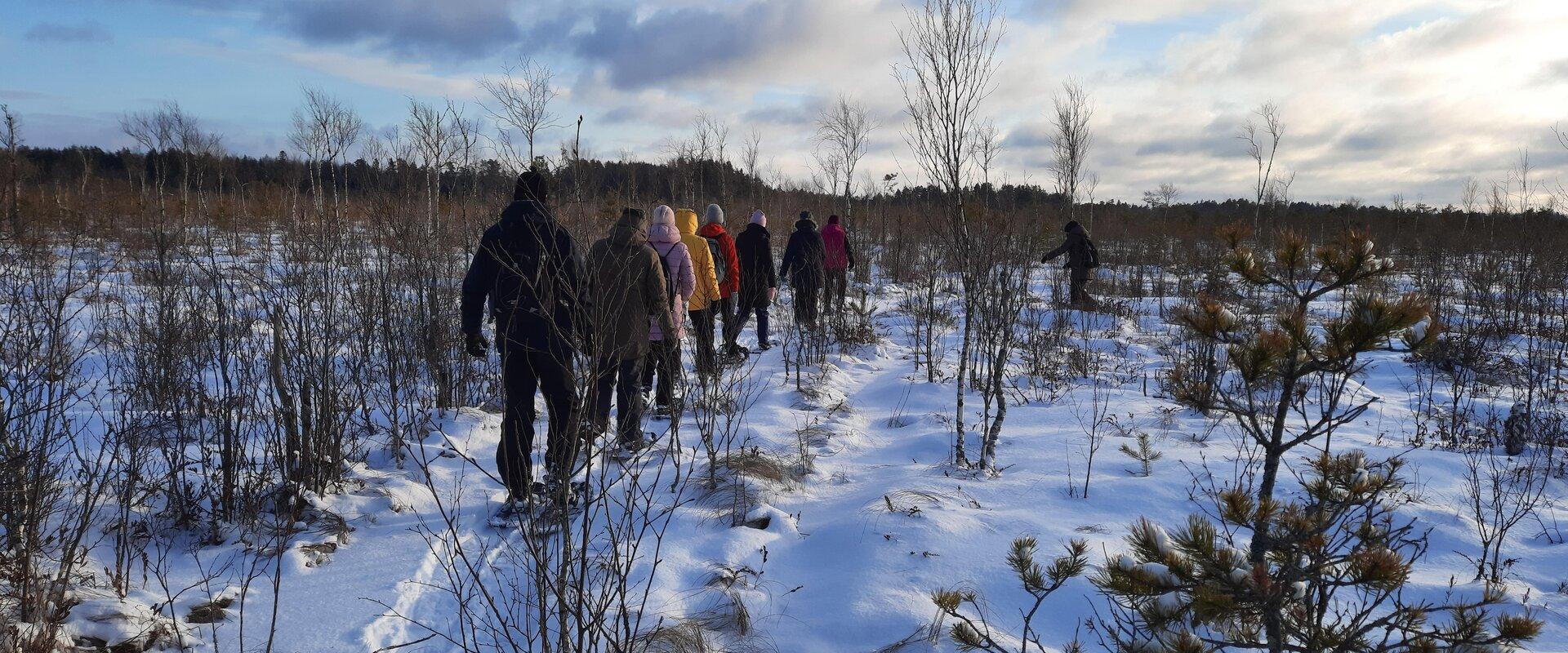 Nature Tours Estonia winter snowshoe hike on the winter roads of Emajõe-Suursoo