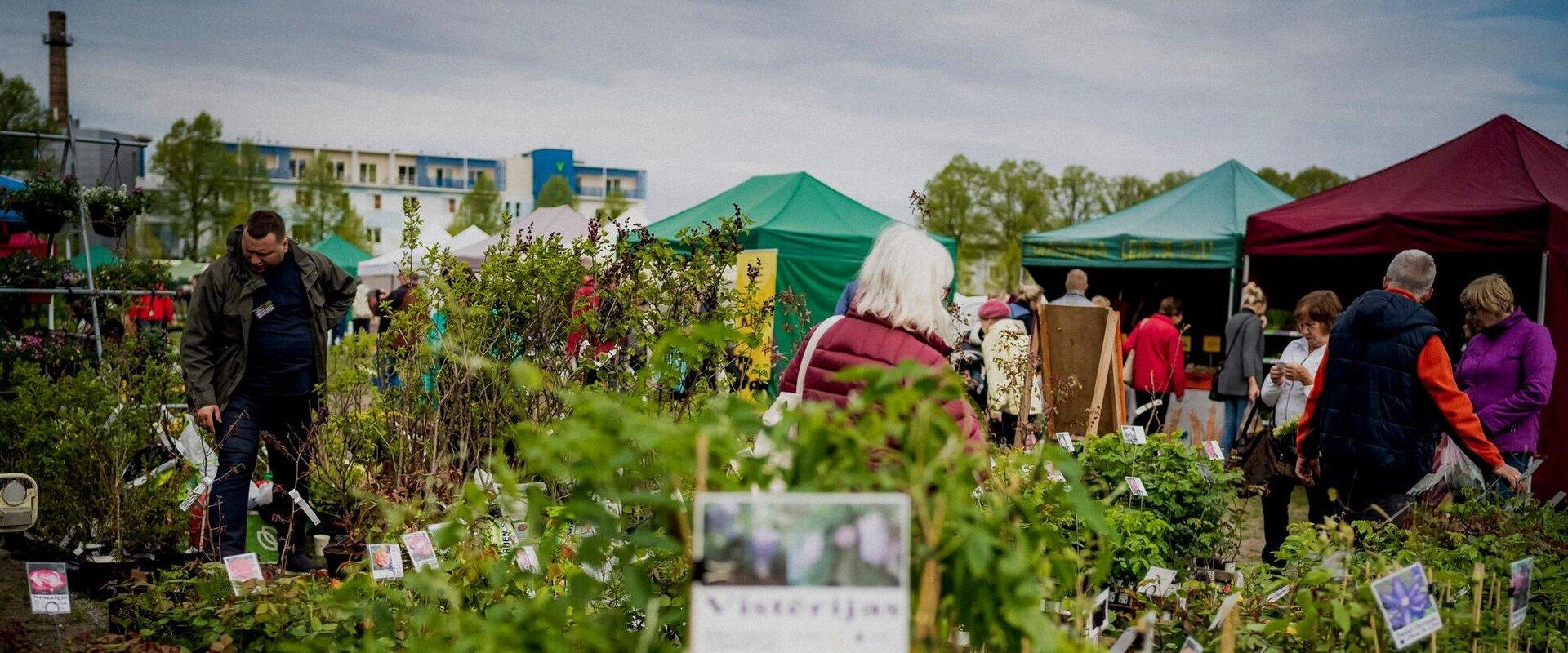 Der Pflanzenjahrmarkt in Pärnu ist der größte Treffpunkt von Gartenliebhabern im Landkreis Pärnu. Auf dem Jahrmarkt, der im Frühjahr und Herbst stattf