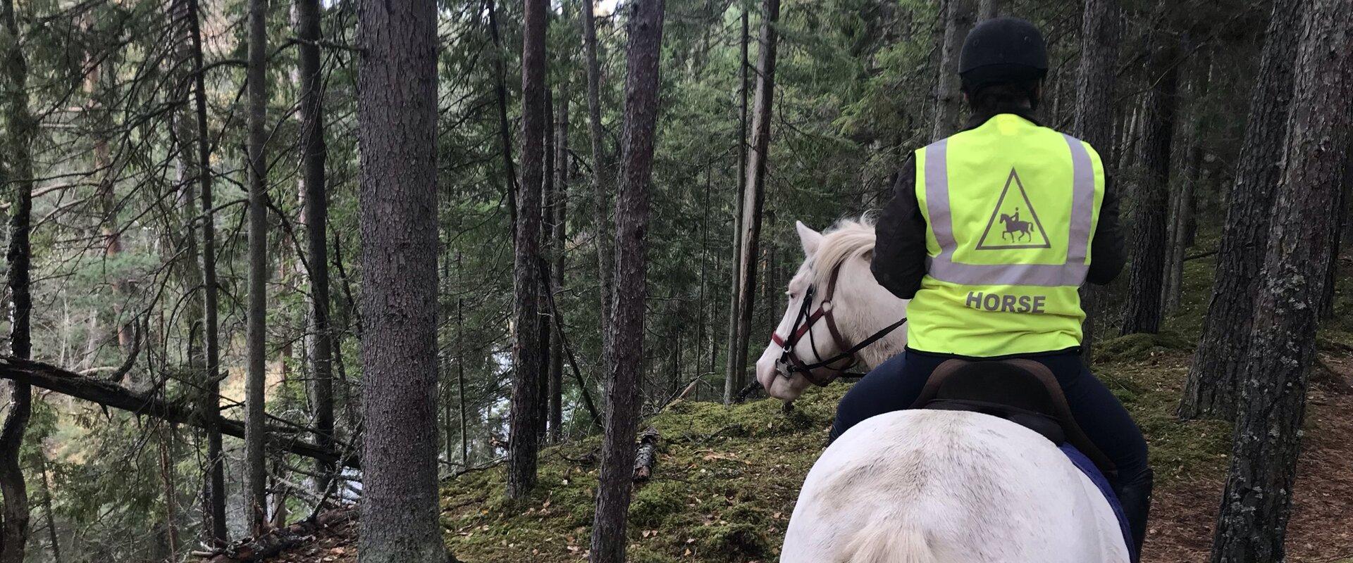 Mustamõisa hobumatkad