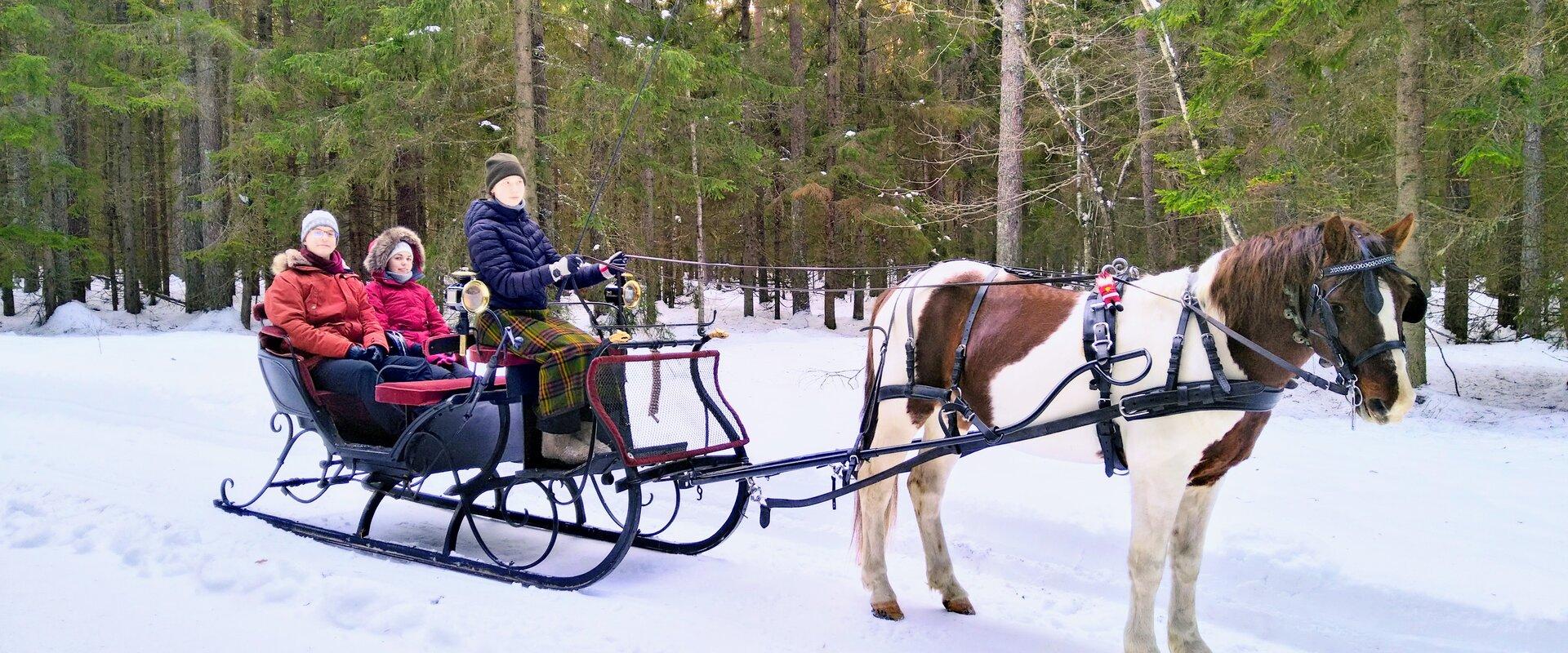 Mustamõisa carriage and sleigh rides