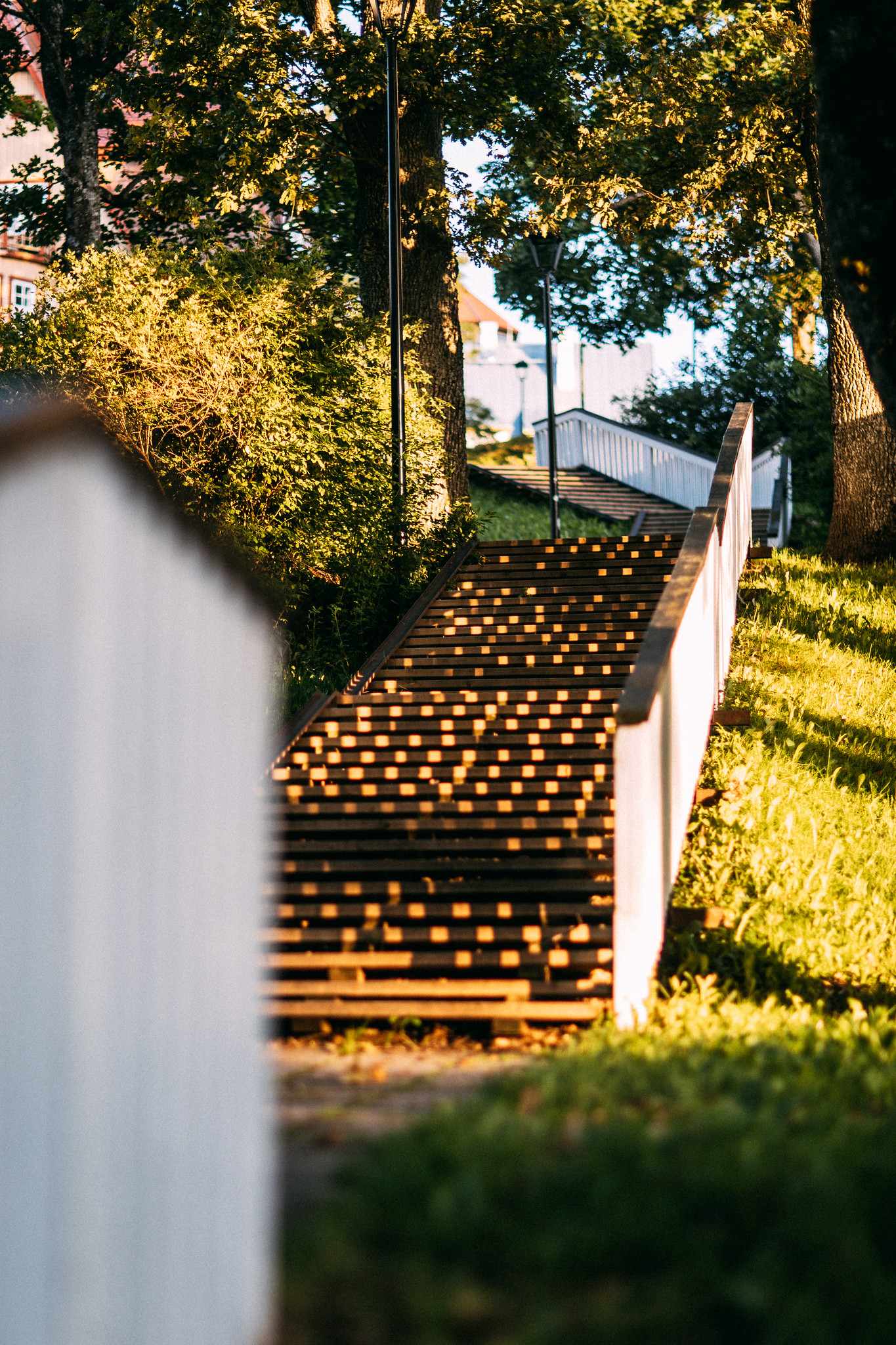 Trepimägi hill and stairs