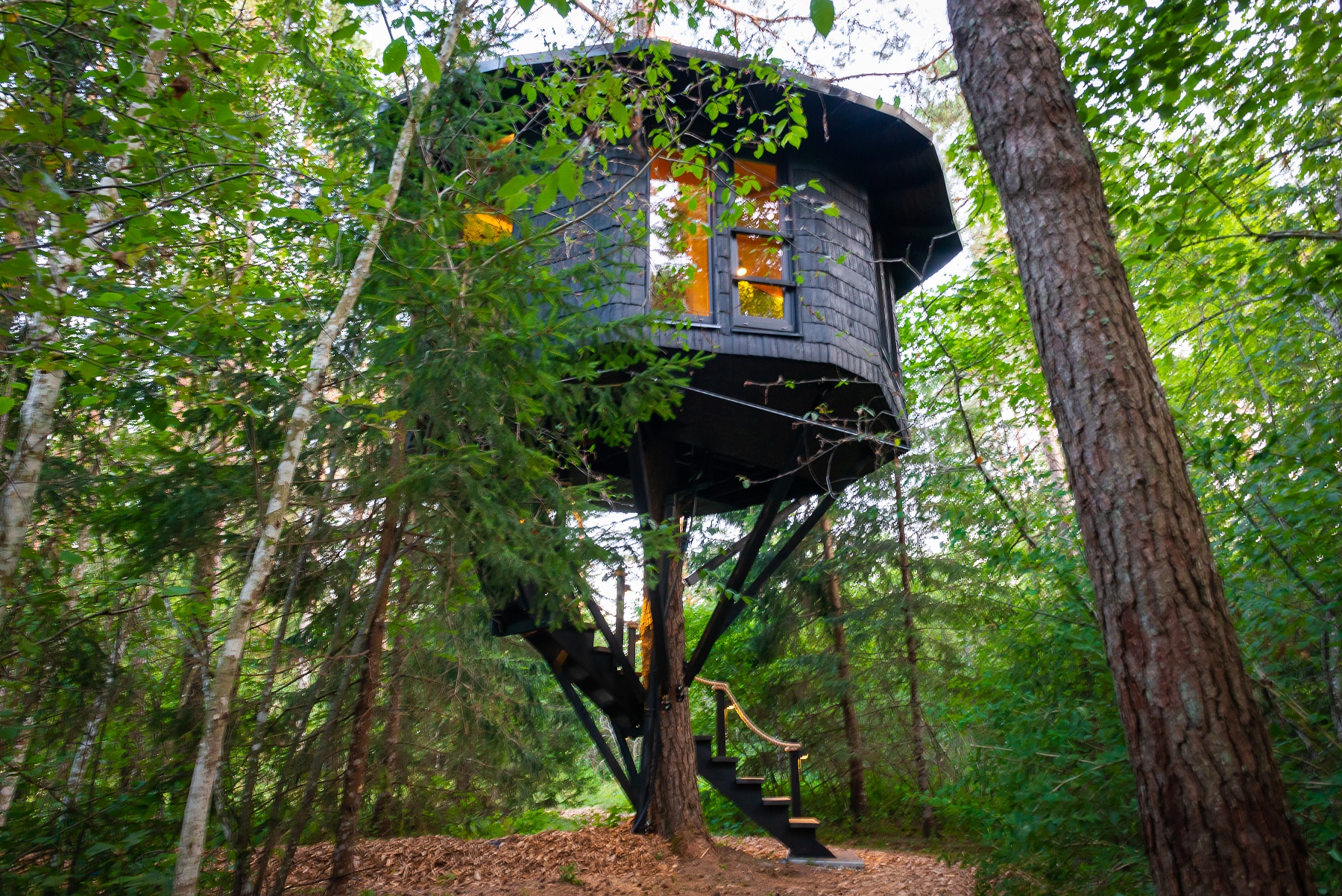 Tree house sauna