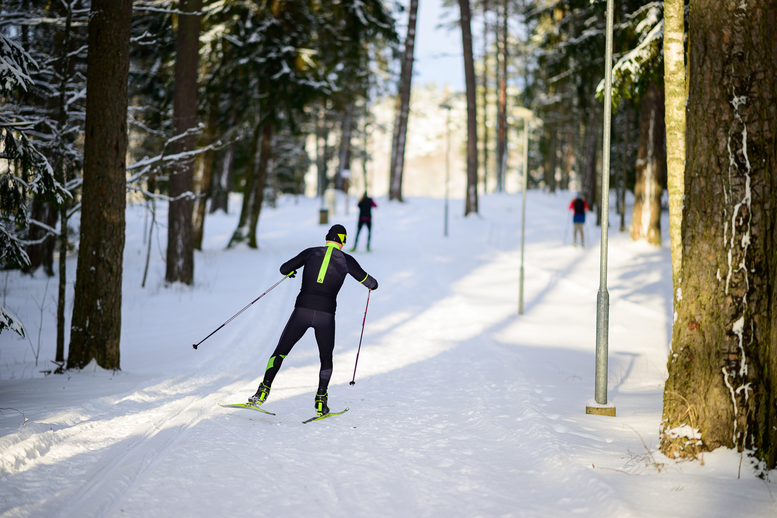 Tõrva Terviseradade Härma suusaring