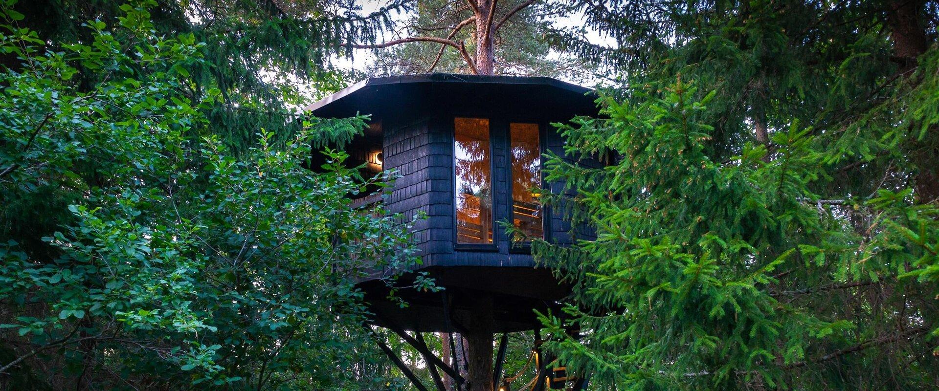 Tree house sauna