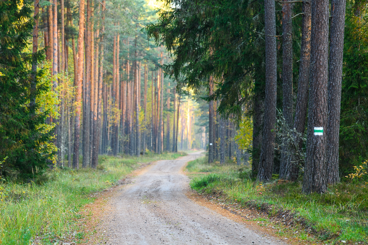 Koiva cycling trail