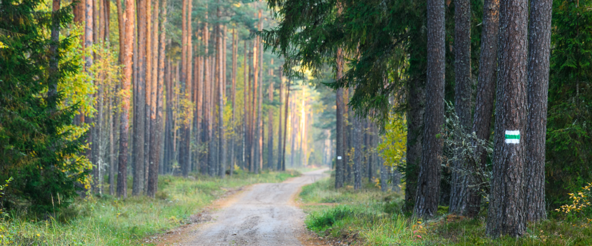 Koiva cycling trail