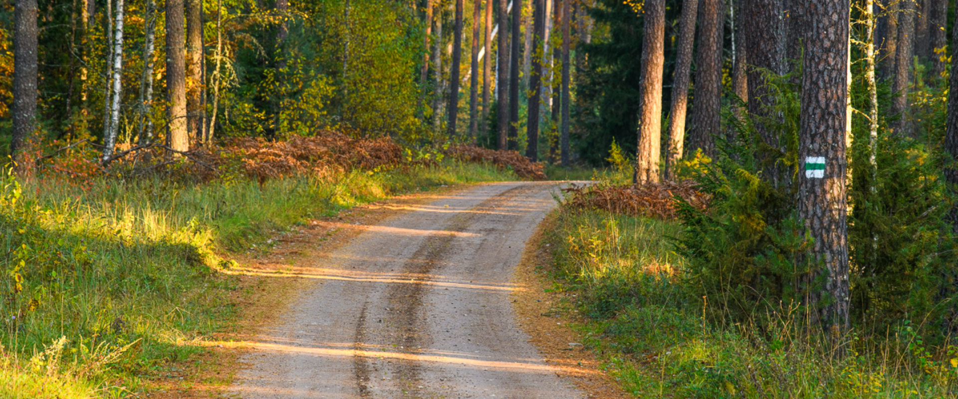 Completed in autumn 2010, this 60 km long cycling track and walking trail showcases cultural sites along the banks of the Koiva River, which runs alon