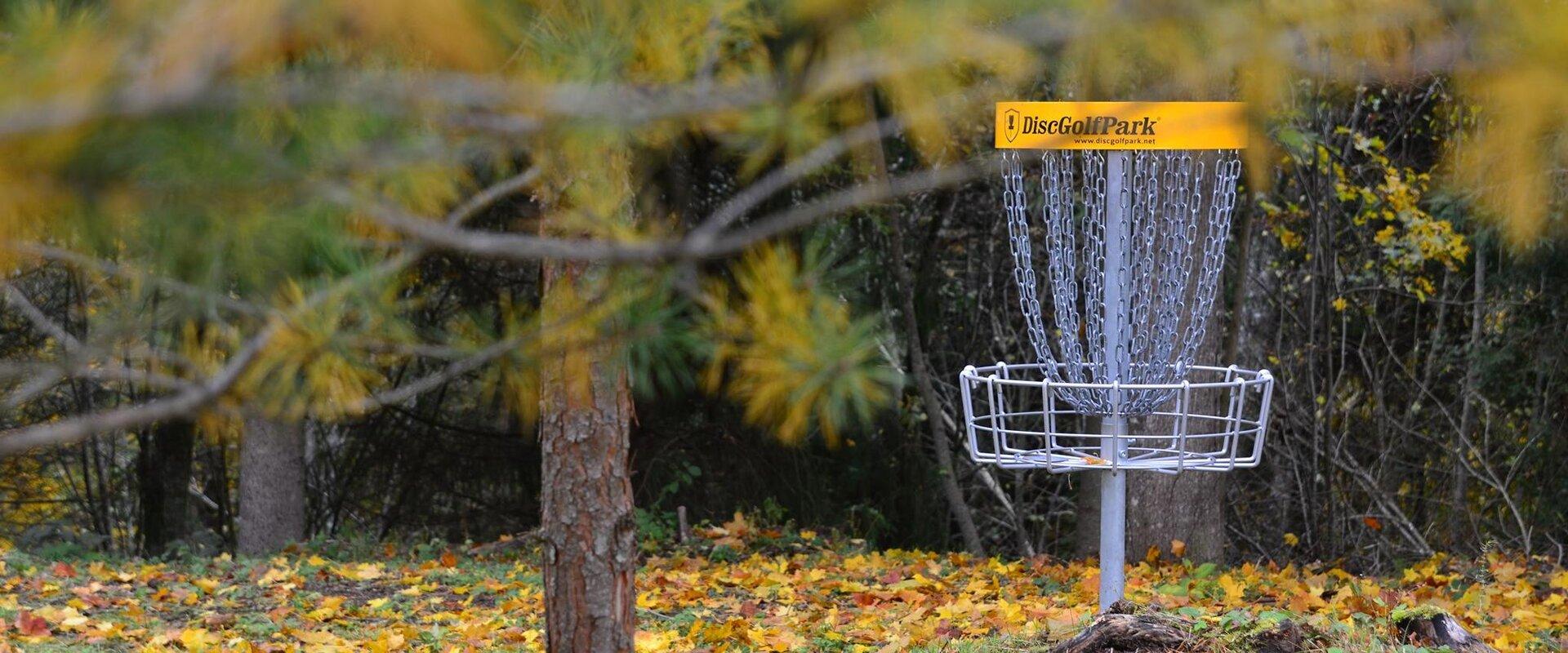 Annikoru Disc Golf Park in autumn, yellow basket and yellow leaves on the grass