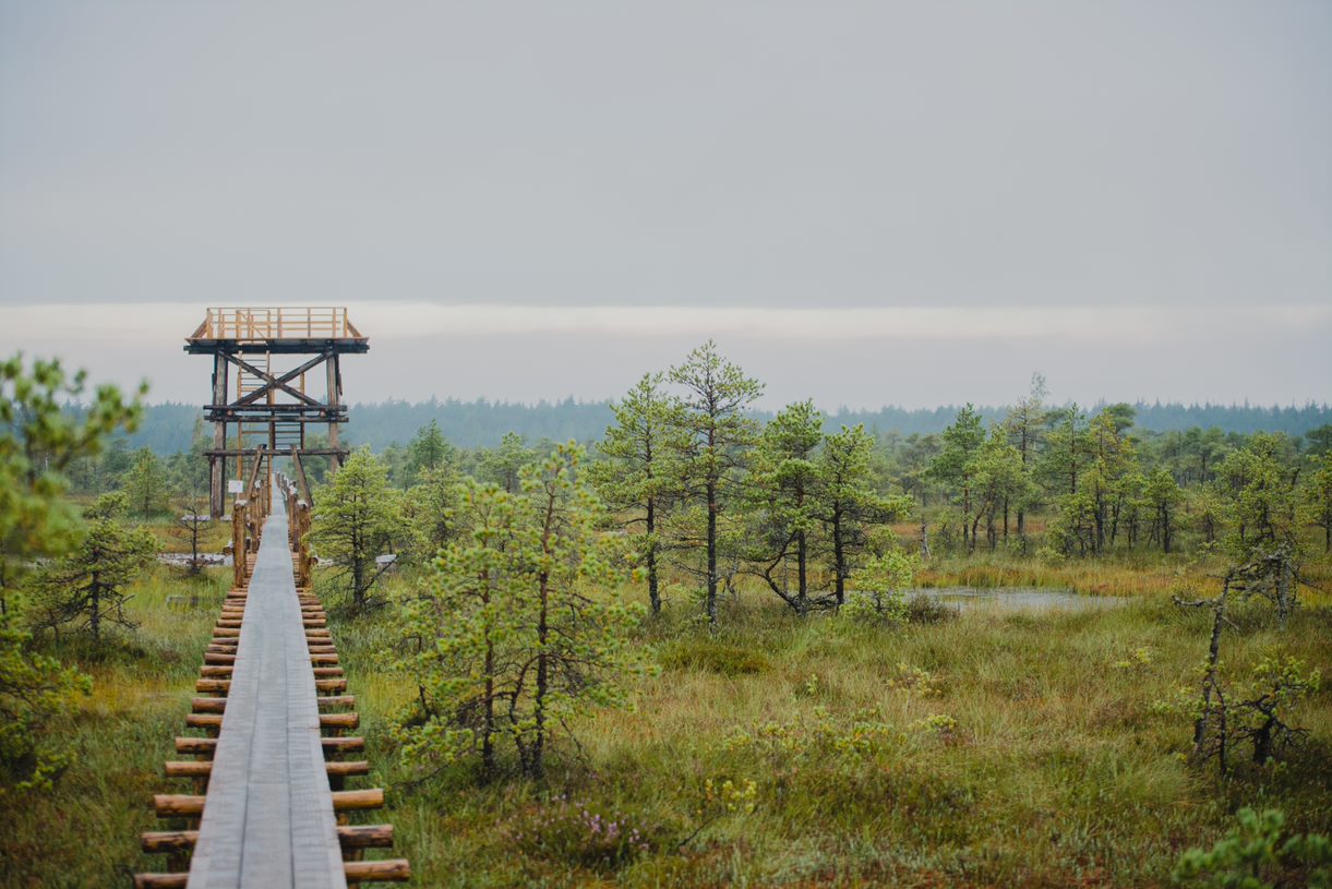 Endla järve matkarada