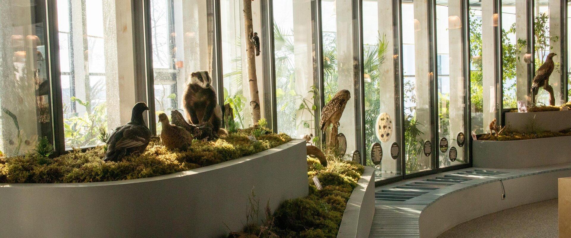 Permanent exhibition of Pernova Nature House