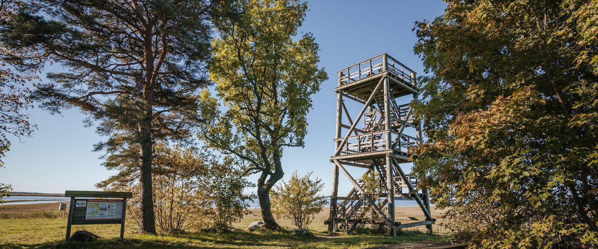 The Haeska birdwatching tower on the north shore of Matsalu Bay is the best one in Europe – the coastal meadows and shallow bay are a popular spot amo