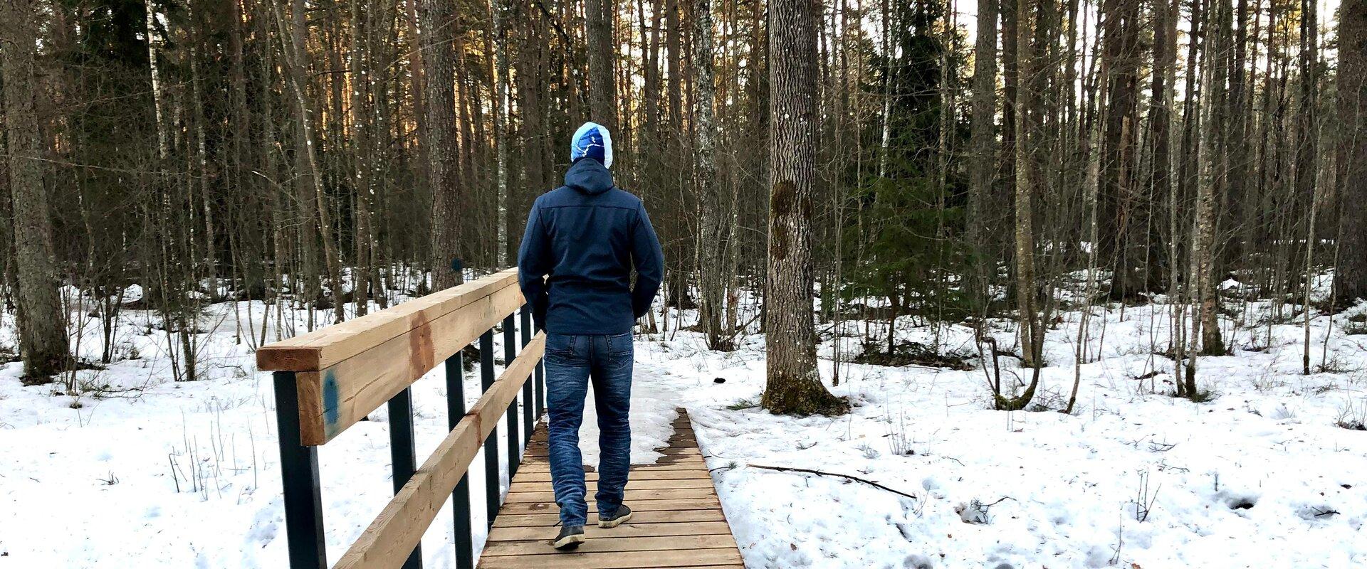 Wanderweg und Feuerplatz in Tiksoja, der Steg