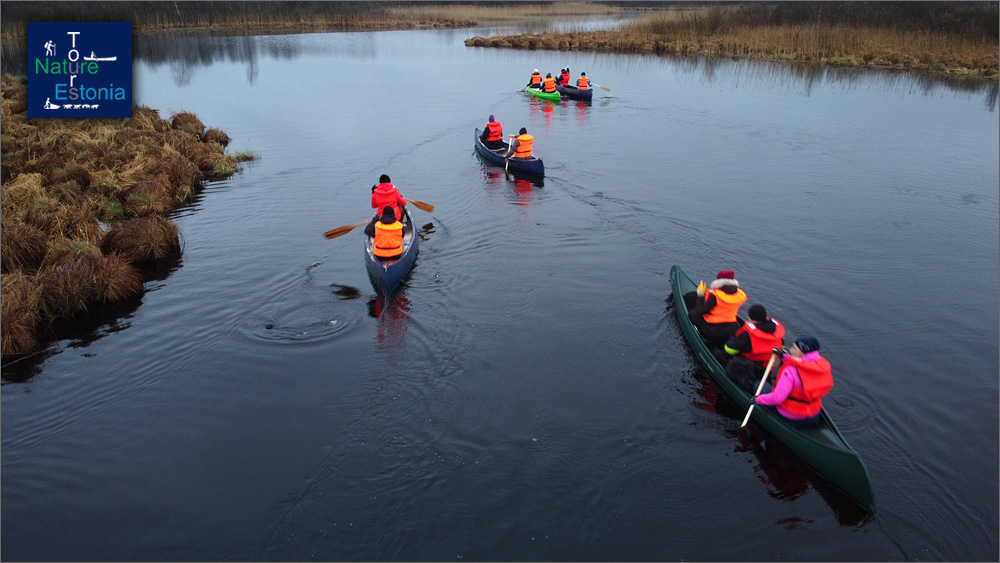 Nature Tours Estonia canoe trips on Emajõgi-Suursoo waters
