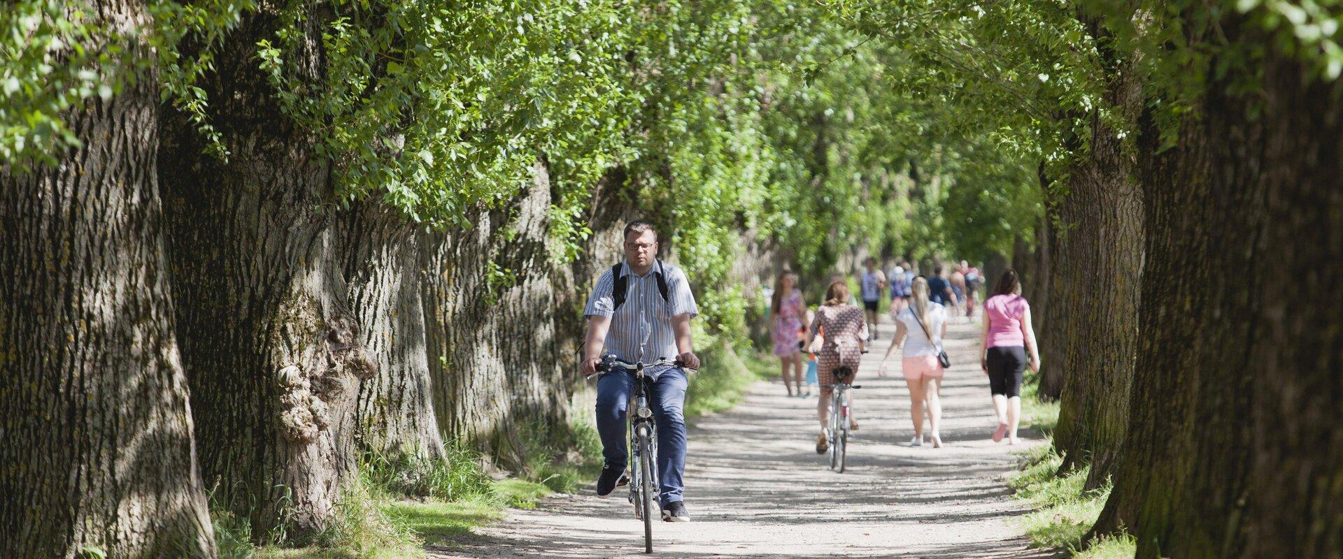 Supilinnas pilsētas daļas promenāde vasarā