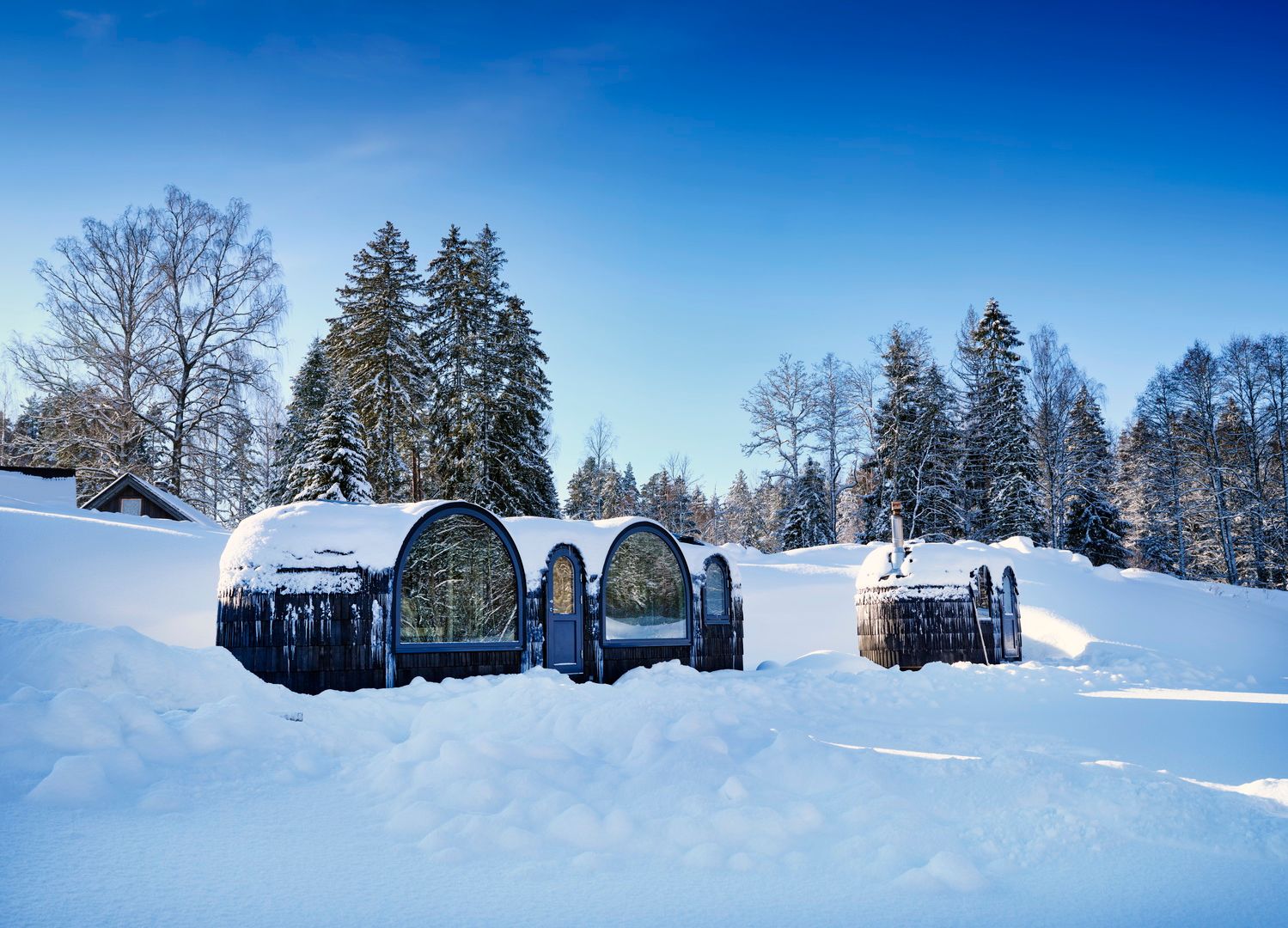 Igloo saunas in Kõrvemaa