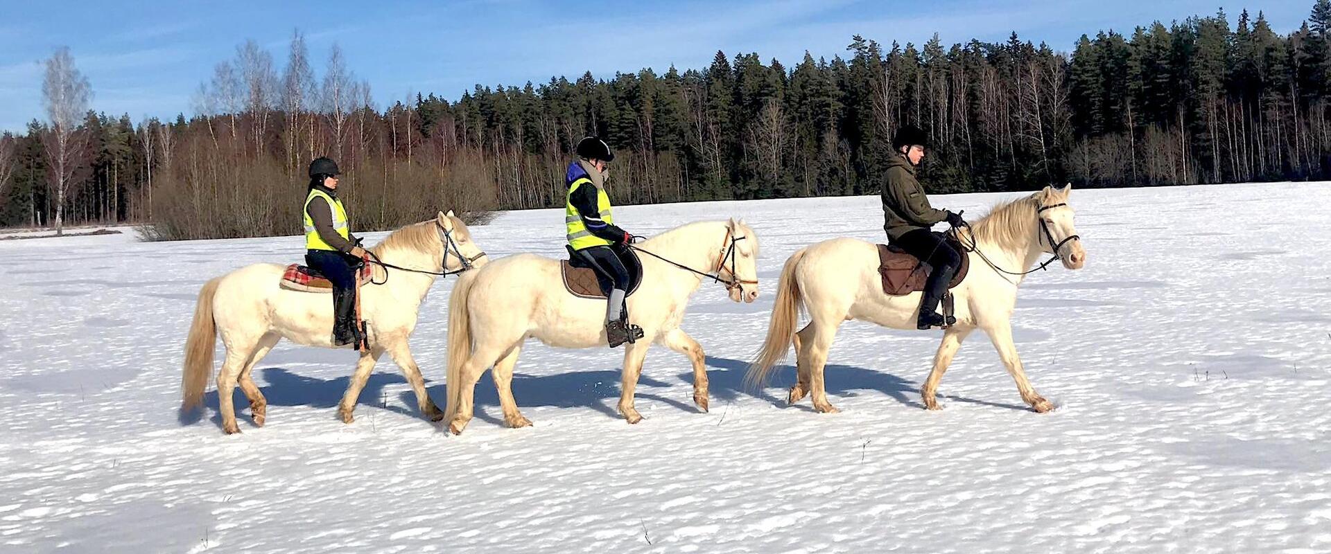 Mustamõisa hobumatkad