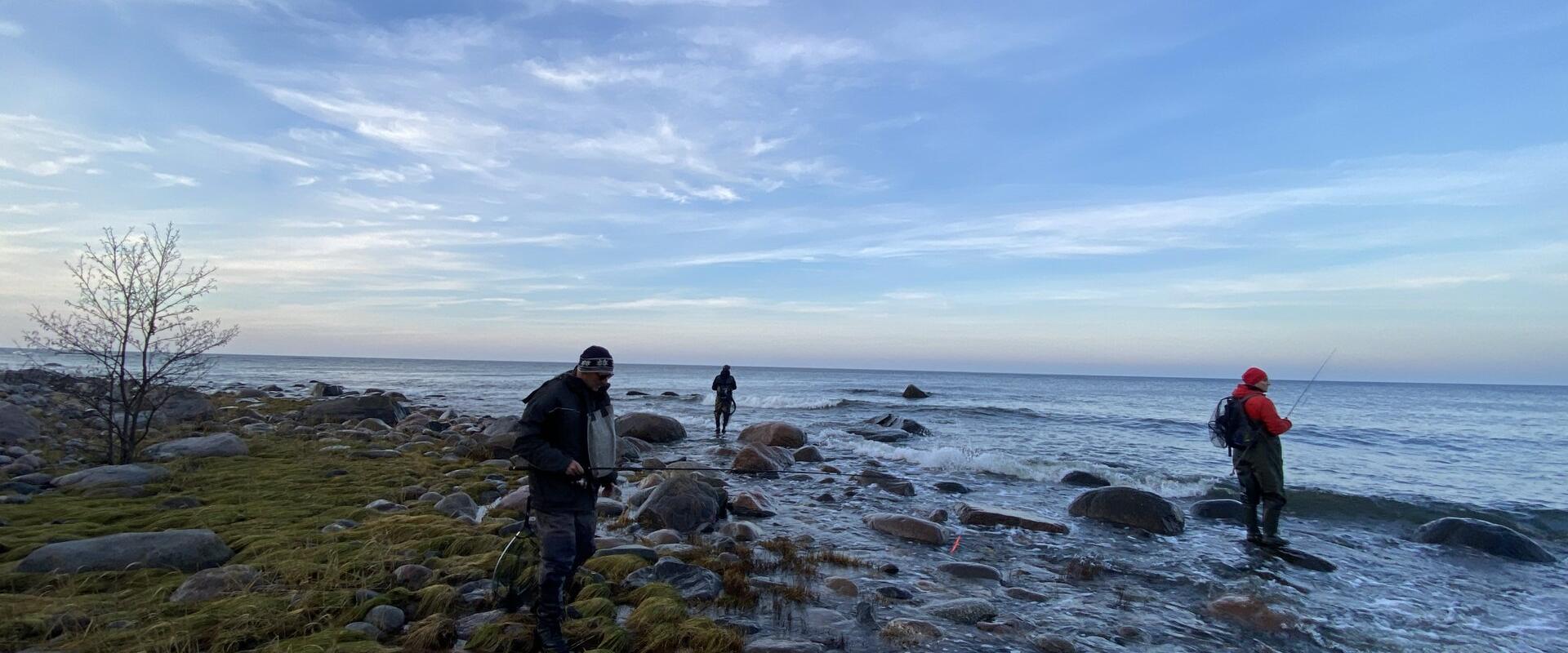 Meriforelli püük meres kahlates