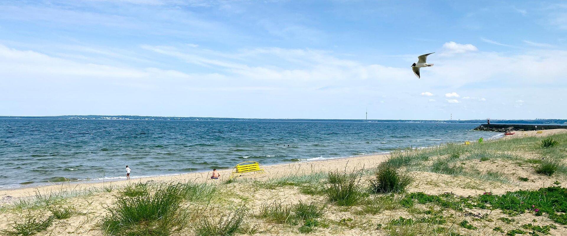 Stroomi beach, Rocca al Mare promenade