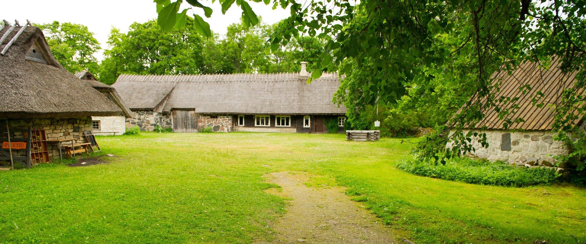 Koguvas ciems, kas atrodas Muhu salas rietumu piekrastē, ir viens no spožākajiem Igaunijas lauku arhitektūras paraugiem. Šis savdabīgās dabas ainavas 