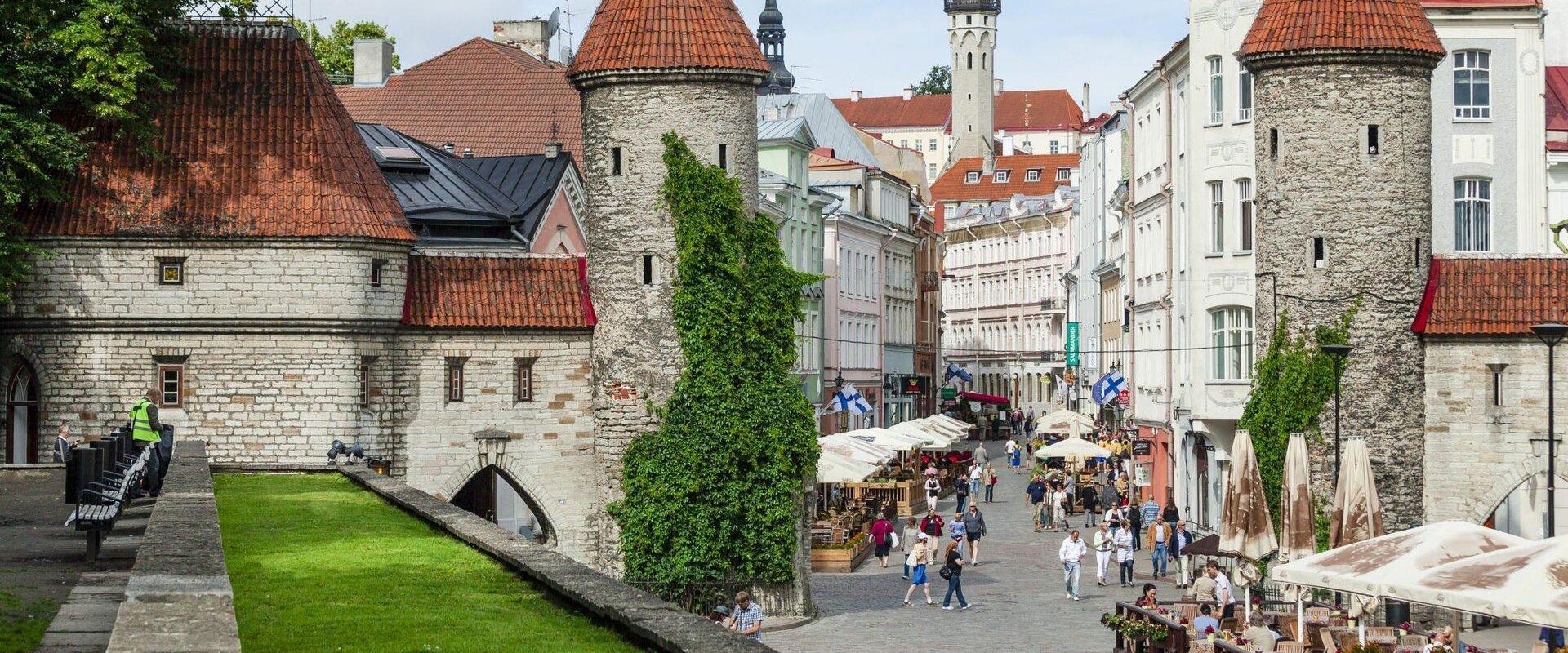 Your guide will amuse you with legends of medieval remedies and cures as well as introduce you to the best of medieval Tallinn Lower Old Town. During 