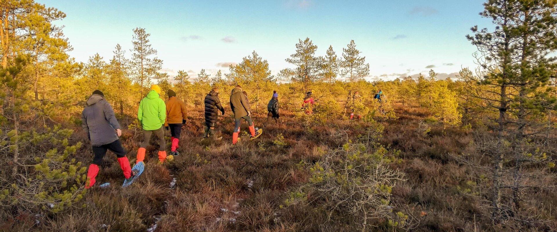 Räätsamatk Lahemaa rahvuspargis