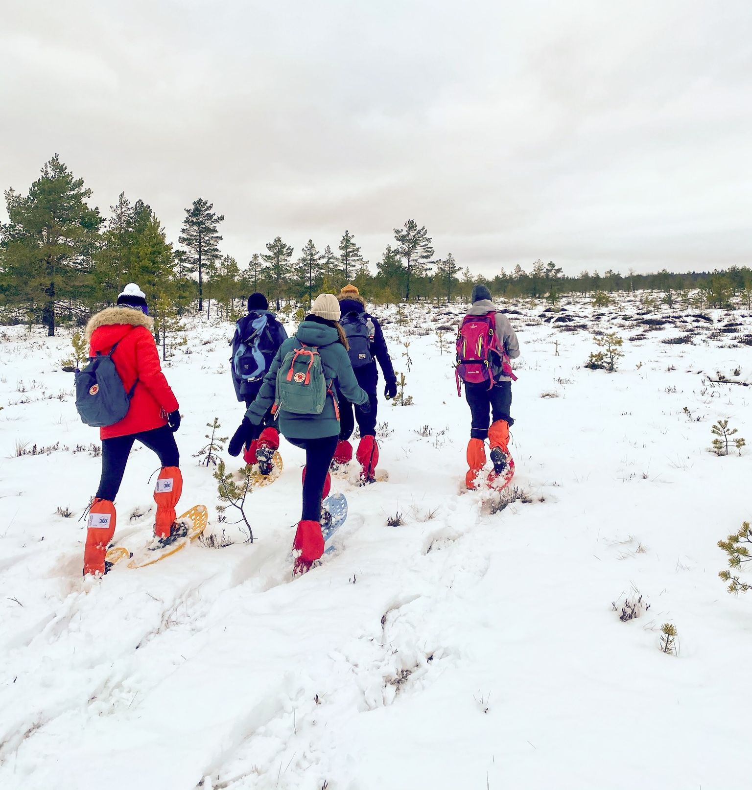 Räätsamatk Lahemaa rahvuspargis
