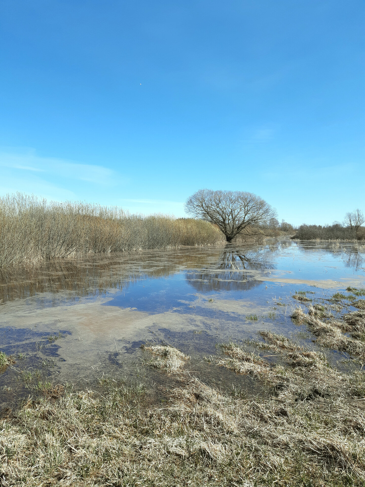 Hochwasser am Uferweg am Fluss Emajõgi