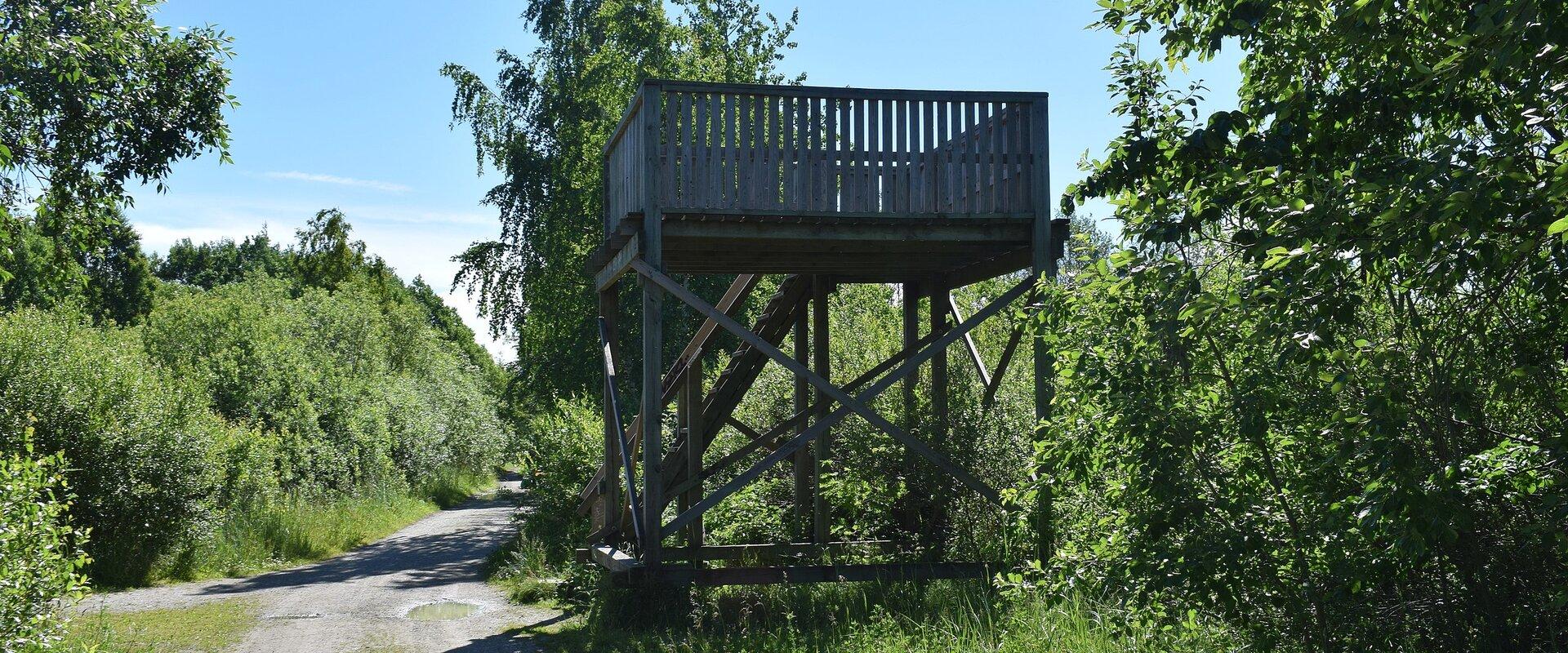 Birdwatching towers in Paljassaare Special Conservation Area