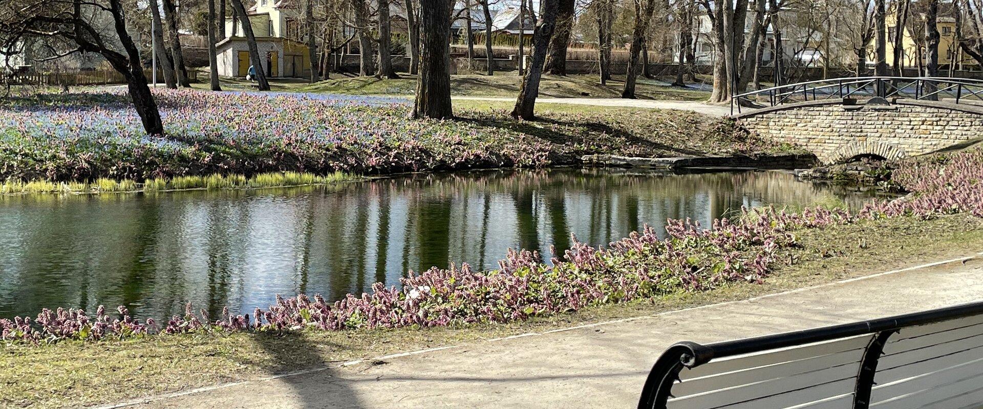 Rakvere mõis ja mõisapark