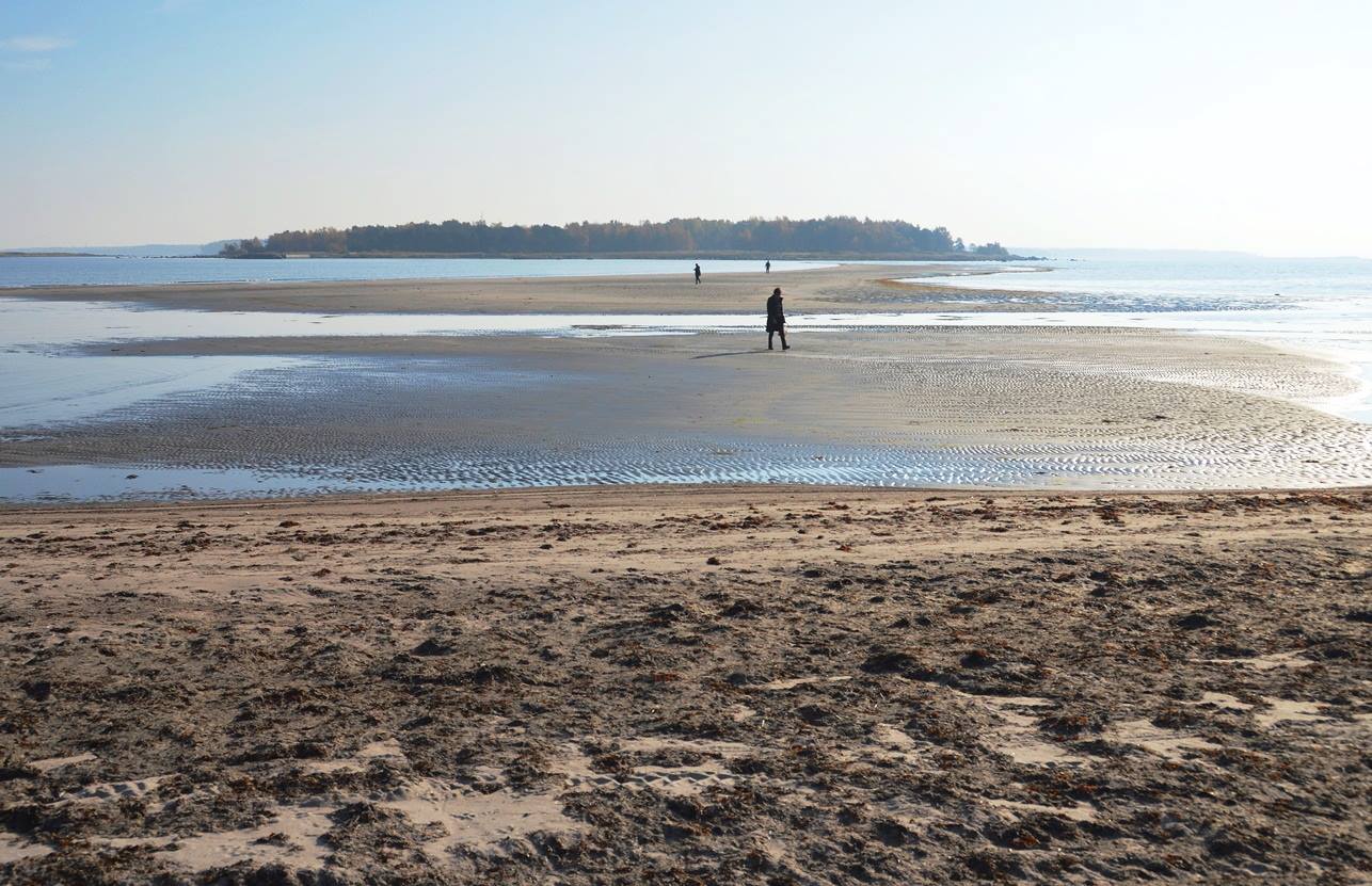 Suurepaadi Beach on Aegna Island