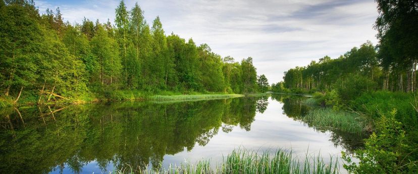 Simuna looduse õppe- ja matkarada