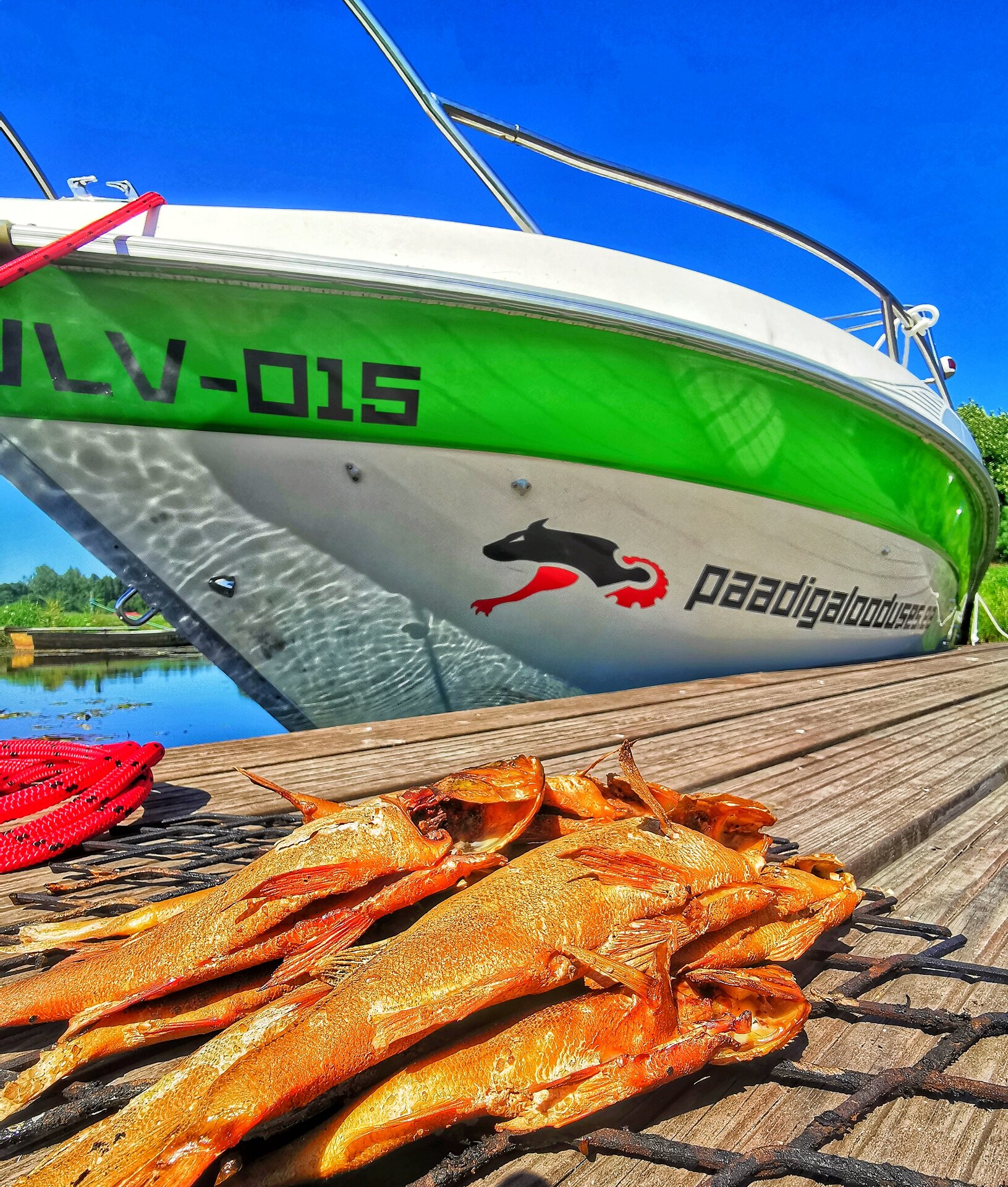 Paadirent Ahja jõel