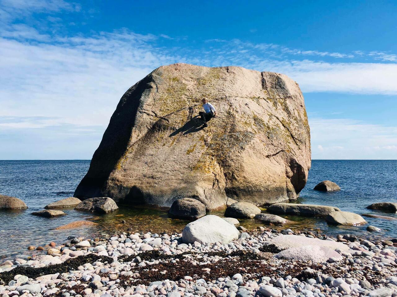 Vaindloo saare rändrahn