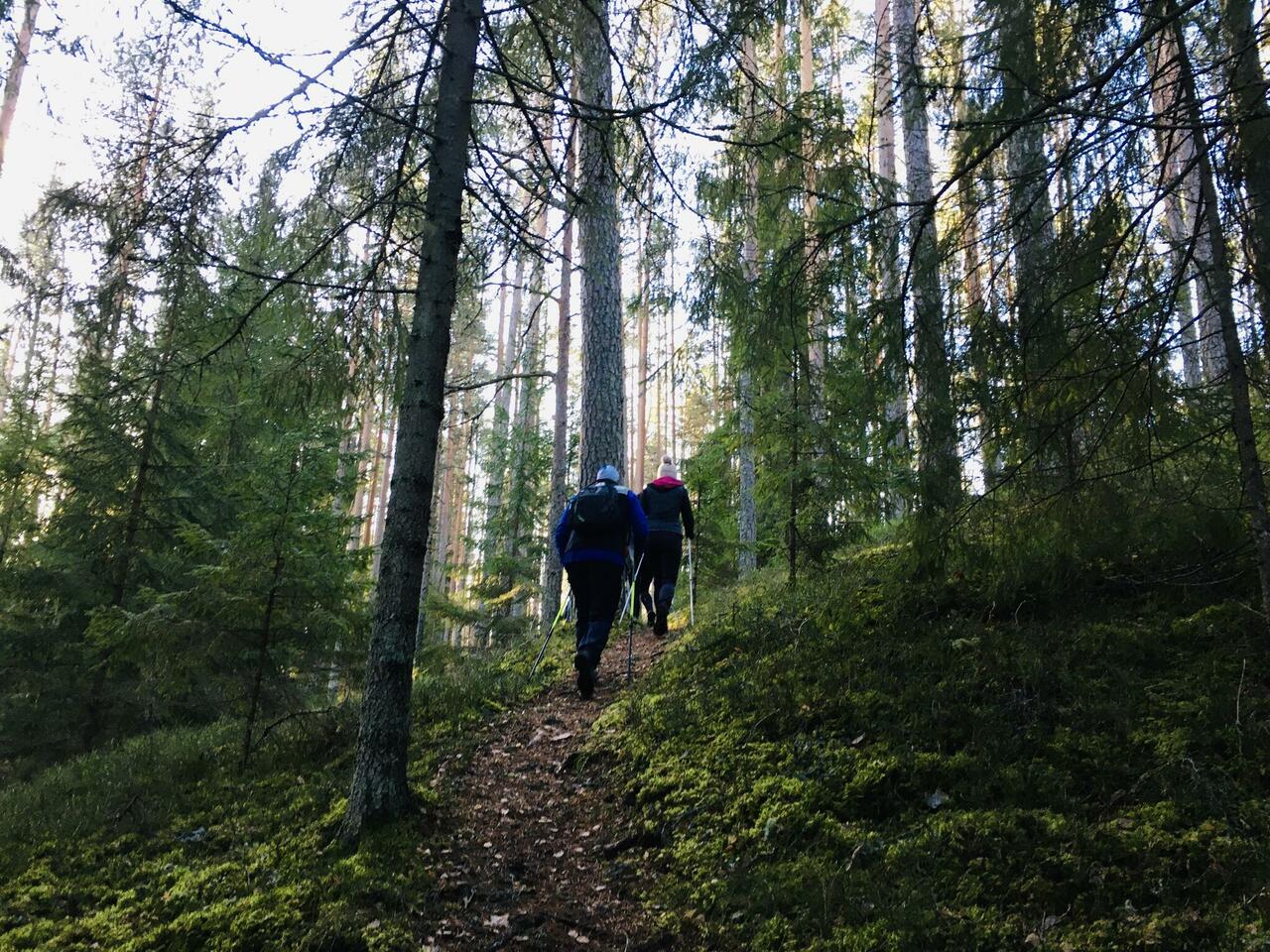 Jalgsimatkad Lahemaal